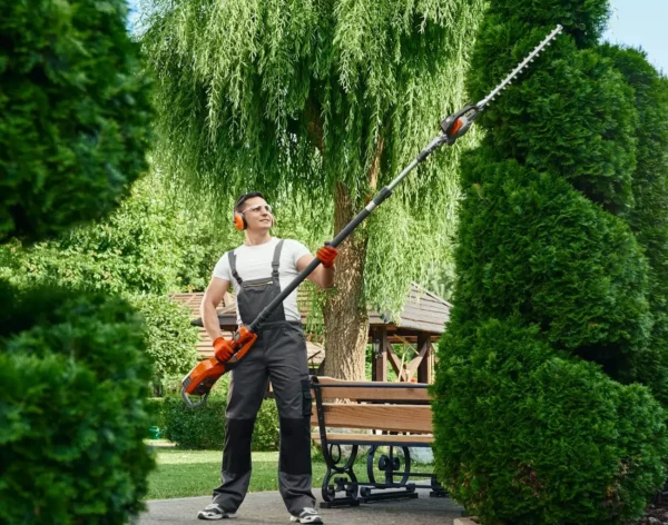 8d19af867e3f5c4487d803acac05eeecf1e1a7e7